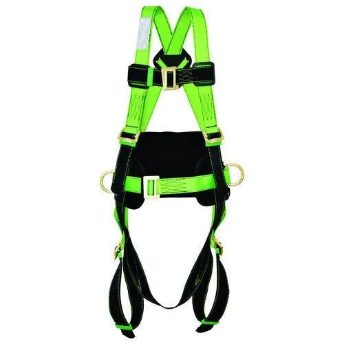 Safety Belts